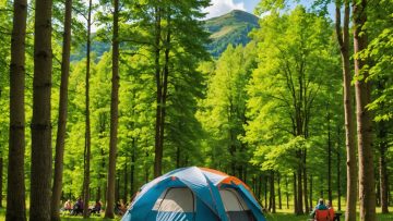 Trouvez le Repos Parfait: Réserver un Emplacement dans un Camping Calme Près du Puy du Fou